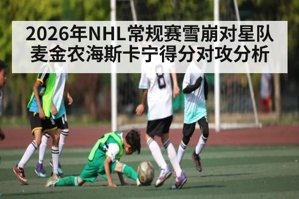2026年NHL常规赛雪崩对星队麦金农海斯卡宁得分对攻分析
