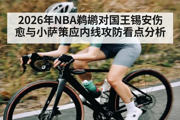 2026年NBA鹈鹕对国王锡安伤愈与小萨策应内线攻防看点分析